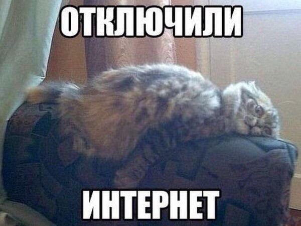 Эти забавные животные - 13 июля 2016 в 03:17