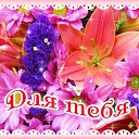 ���� ����, �����-��������� - ��������� 5 ��� 2016 � ������ �������� ��������