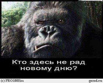 ))))))
