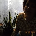 ���� �������, ������ - ��������� 29 ������� 2016 � ������ ���� ����������