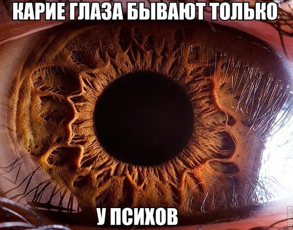   - 26  2016  21:30