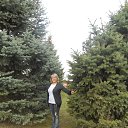 ���� �������, ���������, 50 ��� - ��������� 21 ������ 2016