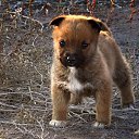 ���� ������, ���������, 76 ��� - ��������� 27 ���� 2016 � ������ ���� ����������