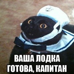 ���� ������, �����-���������, 31 ��� - ��������� 12 ���� 2016
