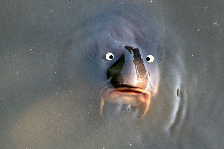        : 