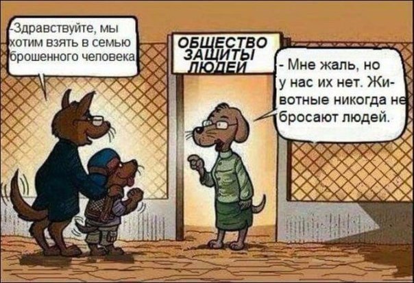 SportFeed - 24  2016  22:58
