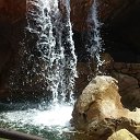  , , 69  -  28  2016    ( )