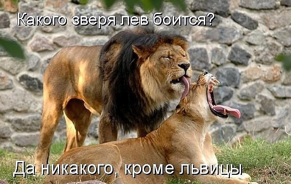 ***Victoria Viktorovna*** - 17  2016  16:03