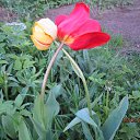 ��������� �� ������� ������ �!�