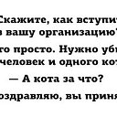  , , 43  -  2  2016    