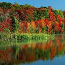 ���� ��������, �������, 41 ��� - ��������� 8 �������� 2016 � ������ ���� ����������