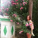 ���� �������, ������, 33 ���� - ��������� 11 ����� 2016