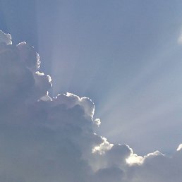 ���� �������, �������, 48 ��� - ��������� 4 ������� 2016