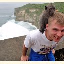 ���� �������, ������������, 39 ��� - ��������� 9 ��� 2016 � ������ ���� ����������