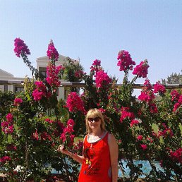 ���� �������, ������, 61 ��� - ��������� 12 ������� 2016