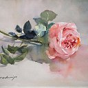 ���� ������, ������-��-���� - ��������� 23 ������� 2016