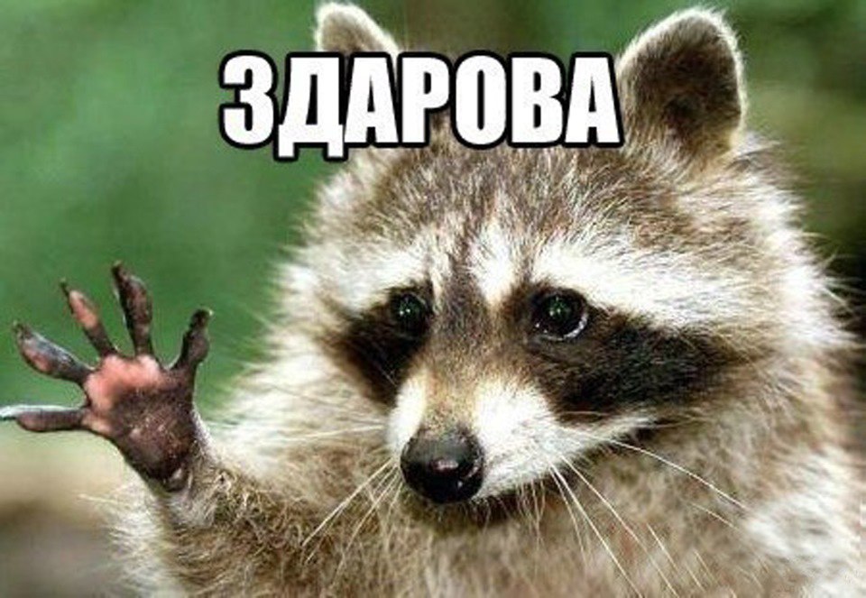  ... - 30  2016  21:34