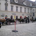 ���� �� ������� ���� ����������