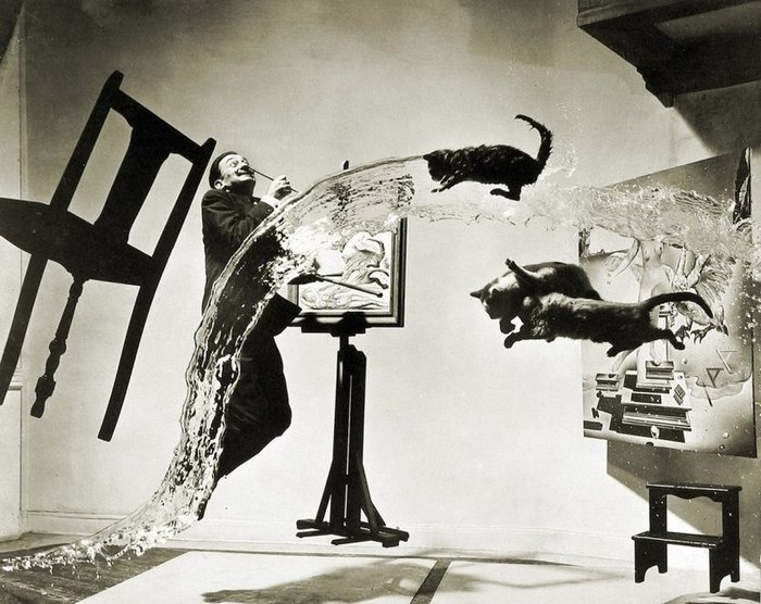 1948 год, Нью-Йорк. Филипп Халсман фотографирует Сальвадора Дали с кошками. К потолку на леску ...