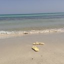 ���� �������, ������, 49 ��� - ��������� 25 ������ 2016 � ������ �����, ������, ����