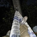 ���� �����, �����-���������, 43 ���� - ��������� 29 ��� 2016 � ������ ���������