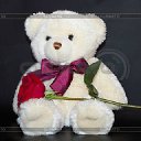 ���� @Alla@, ������ - ��������� 21 ������ 2016 � ������ �������� ��������
