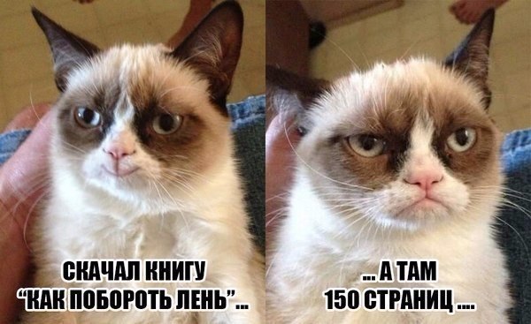     - 12  2016  19:22