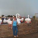 ���� �����, ������� - ��������� 13 ���� 2016 � ������ ���� ����������