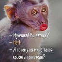 ���� ��������, �������, 66 ��� - ��������� 20 ������� 2016 � ������ ������ ��������
