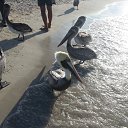 ���� ������, ������, 60 ��� - ��������� 19 ���� 2016 � ������ ���� ����������