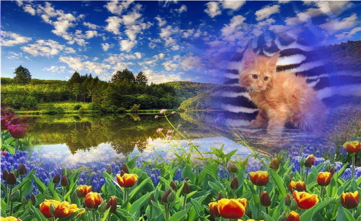 .. https://fotostrana.ru/away?to=/sl/YaB# #_    ... - 10