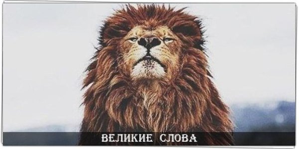 Своим терпением мы можем достичь большего, чем силой.