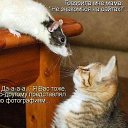 ���� ����������, ������ - ��������� 2 ������ 2016 � ������ ������ ��������