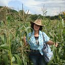 ���� �����, ����������, 57 ��� - ��������� 8 �������� 2016 � ������ ���� ����������