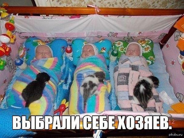    - 10  2016  11:11