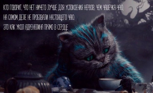 ������ �������� �������� - ���������� ���� - 4