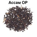 ���� Bogdan, ����������, 42 ���� - ��������� 27 ������ 2016 � ������ �Azarov Tea�