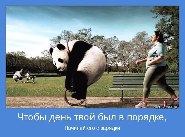 SportFeed - 4  2016  07:10