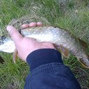  ,  , 40  -  27  2016    