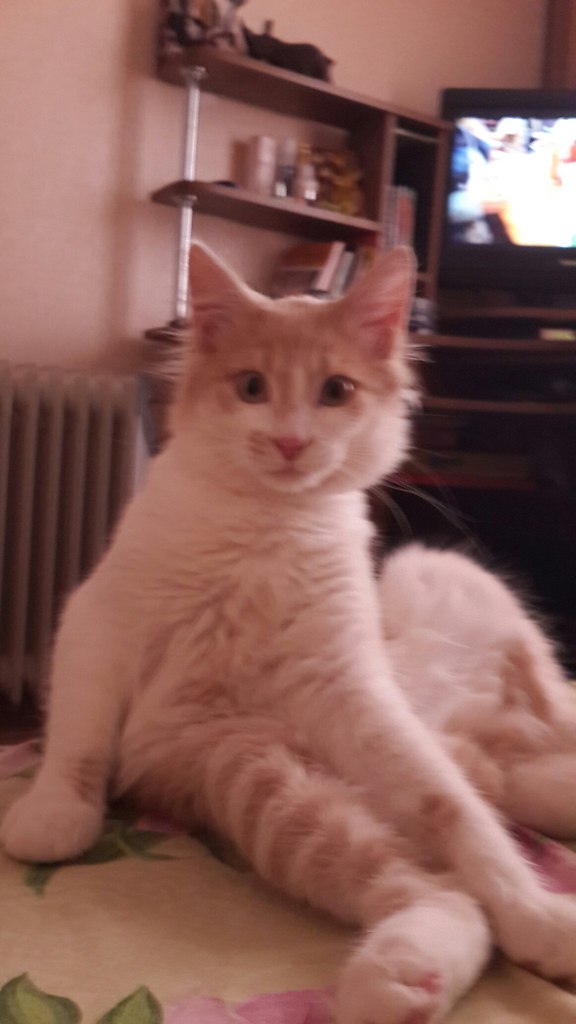 #_.   .         , , ...