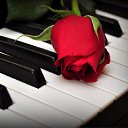 ���� N@taly, �������� - ��������� 10 ������ 2016 � ������ ���� �� �������