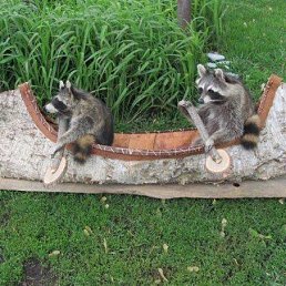 ���� ����, ������, 50 ��� - ��������� 6 �������� 2016