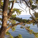  ,  -  14  2016    Ż