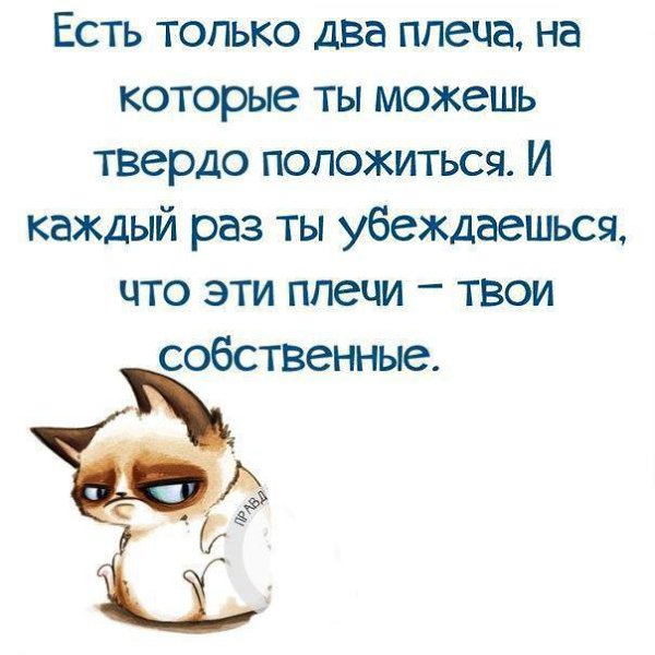 .........  