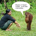 http://surprisse.com/muscards/view/2016/02/22/e496n4eo0shan11feh855o7d03n2sedl.php �� ������� �������� � ����������