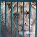 ���� Sveta, ������� - ��������� 23 ��� 2016 � ������ ���������