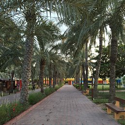 ���� Rt, ������ - ��������� 8 ��� 2016