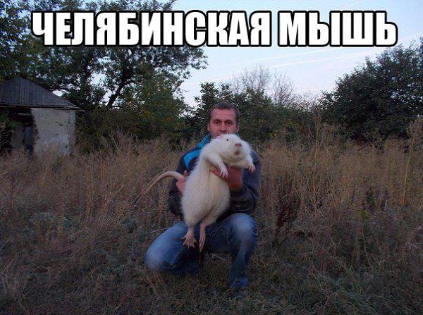 Art & Fun - 29  2016  09:37