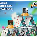  , , 41  -  19  2016    -