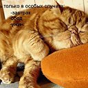 ���� Elizabeth, ������, 58 ��� - ��������� 31 ������� 2016 � ������ ������ ��������